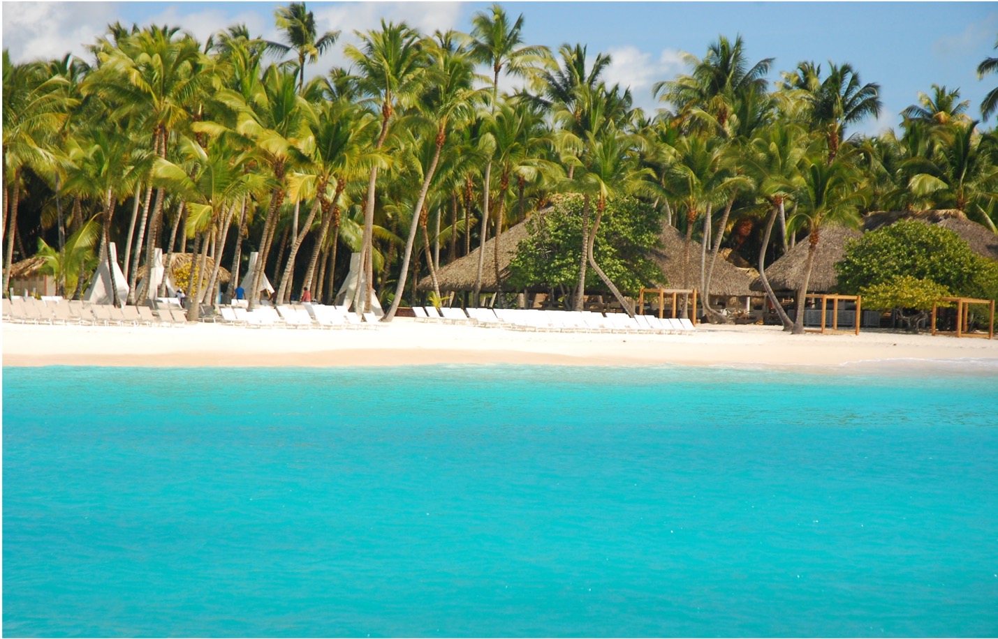 Saona Island Catamaran & Speed Boat